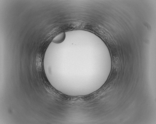 X0000115431154200911251219