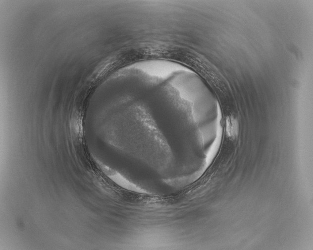 X0000115431155200911251219