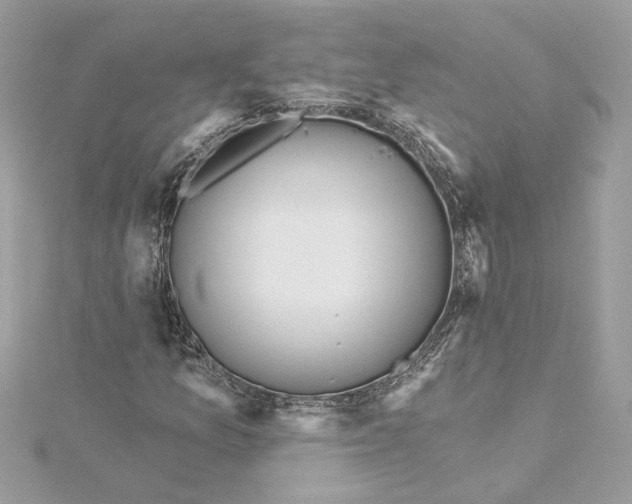 X0000115431157200911251219