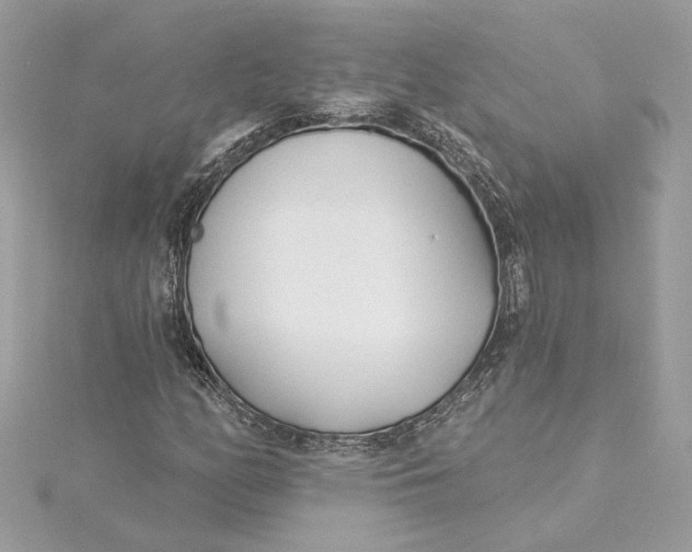 X0000115431158200911251219