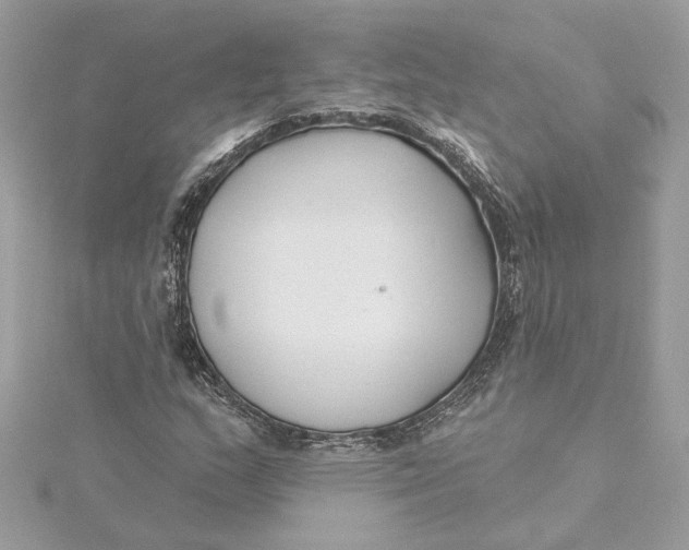 X0000115431159200911251219