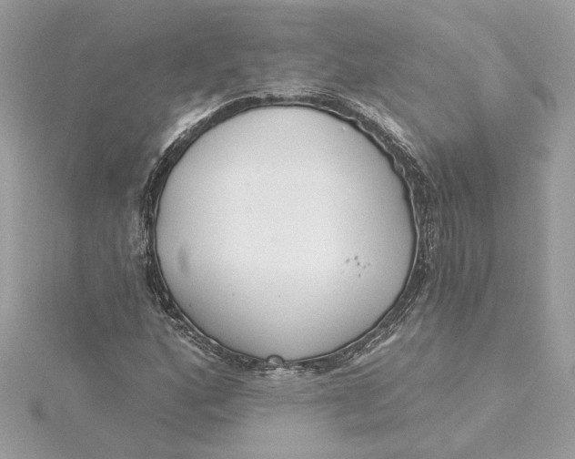 X0000115431160200911251219