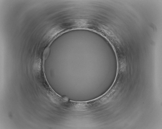 X0000115431161200911251219