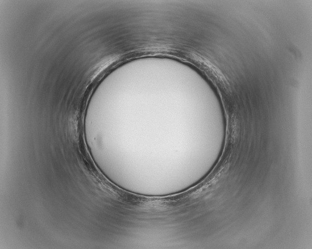 X0000115431162200911251219