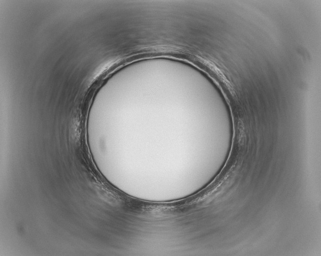 X0000115431163200911251219