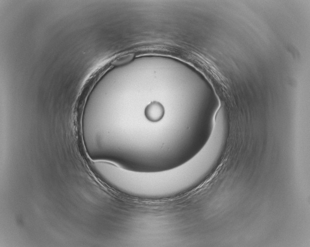 X0000115431164200911251219