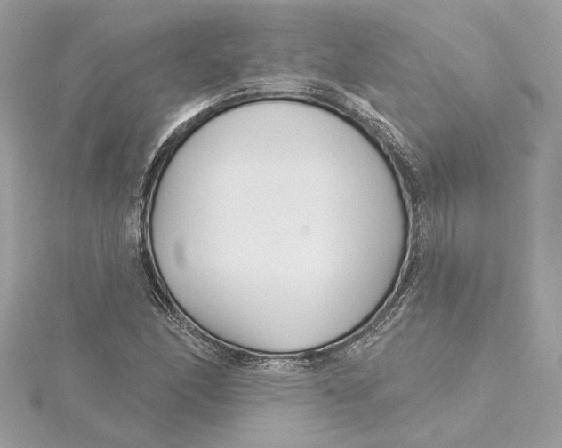 X0000115431166200911251219