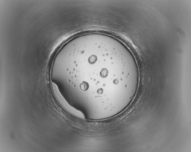 X0000115431167200911251219