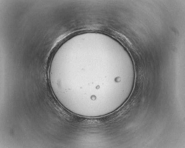 X0000115431168200911251219