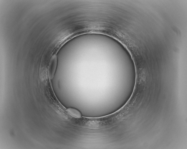 X0000115431169200911251219