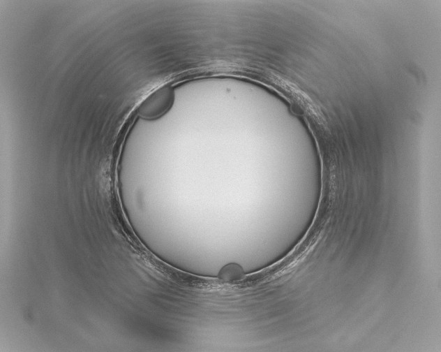 X0000115431170200911251219