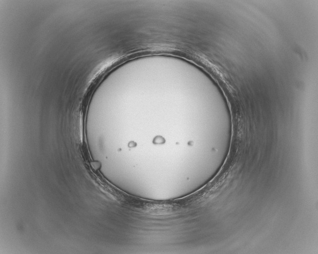 X0000115431171200911251219