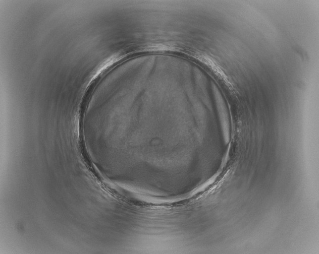 X0000115431173200911251219