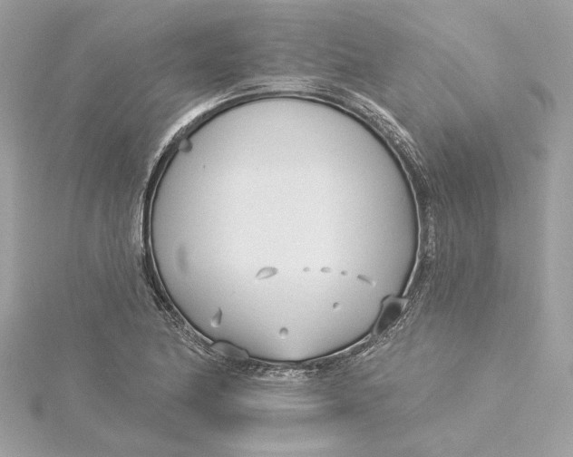 X0000115431174200911251219