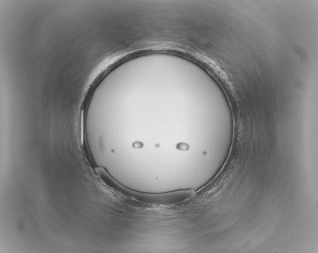 X0000115431175200911251219