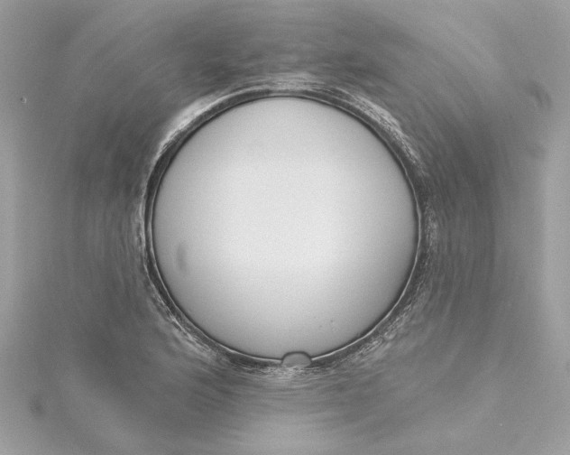 X0000115431176200911251219