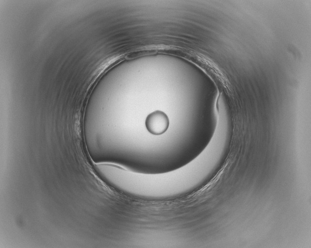 X0000115431177200911251219