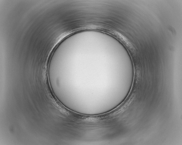 X0000115431178200911251219