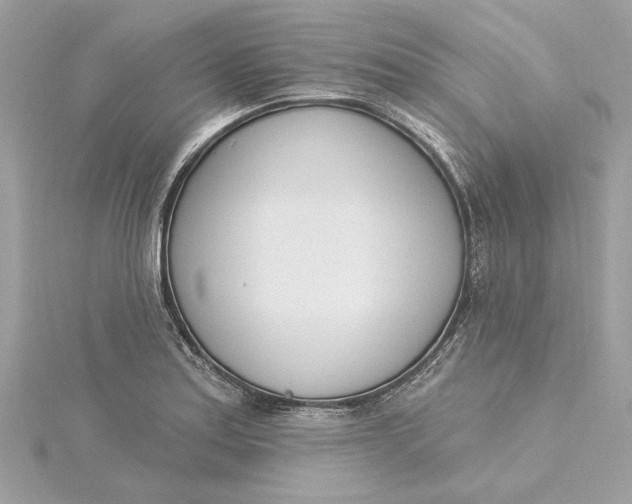 X0000115431179200911251219