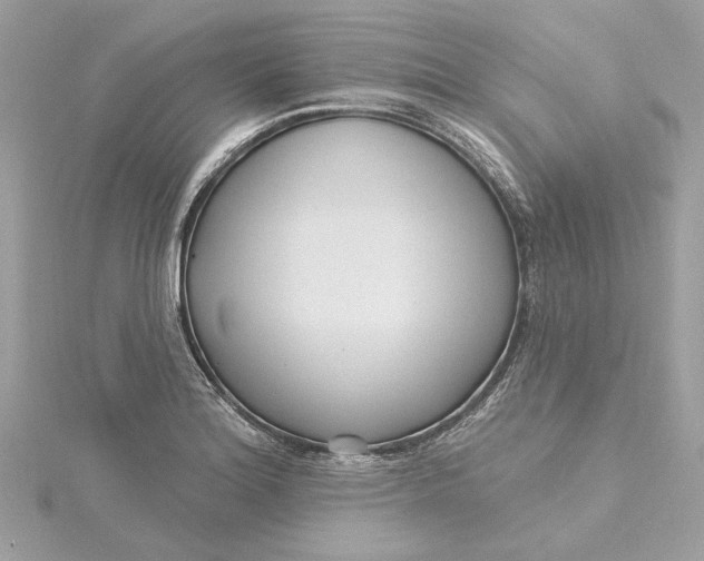 X0000115431180200911251219