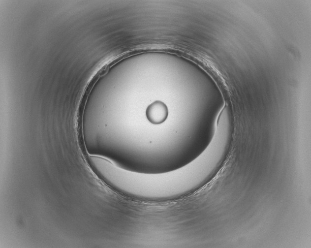 X0000115431181200911251219