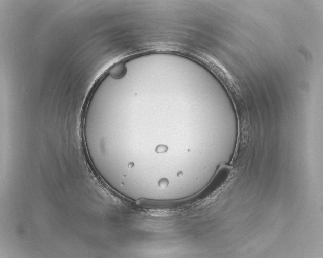 X0000115431182200911251219