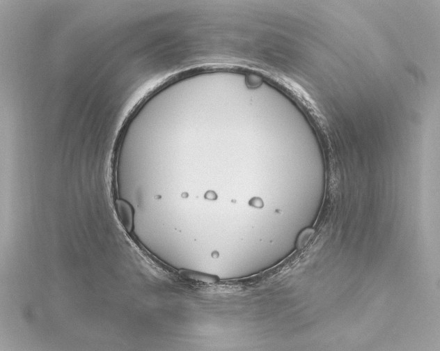 X0000115431183200911251219