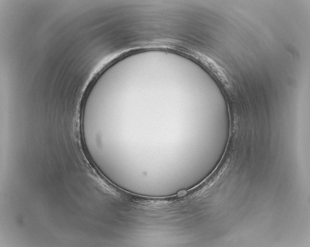 X0000115431184200911251219