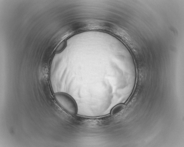 X0000115431185200911251219