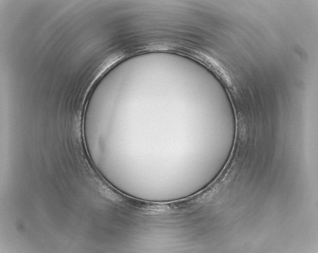 X0000115431186200911251219