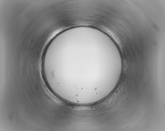 X0000115431187200911251219