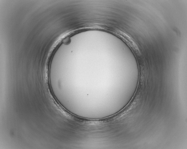 X0000115431188200911251219