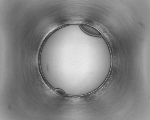 X0000115431189200911251219