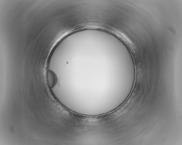 X0000115431190200911251219