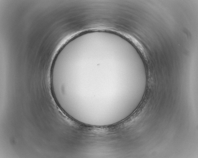 X0000115431191200911251219