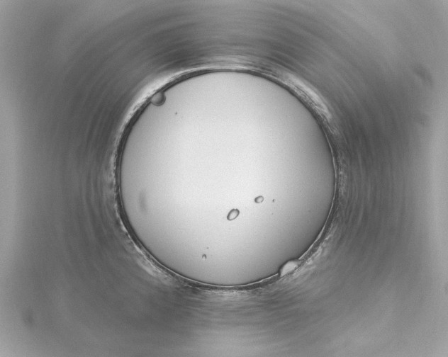 X0000115431192200911251219