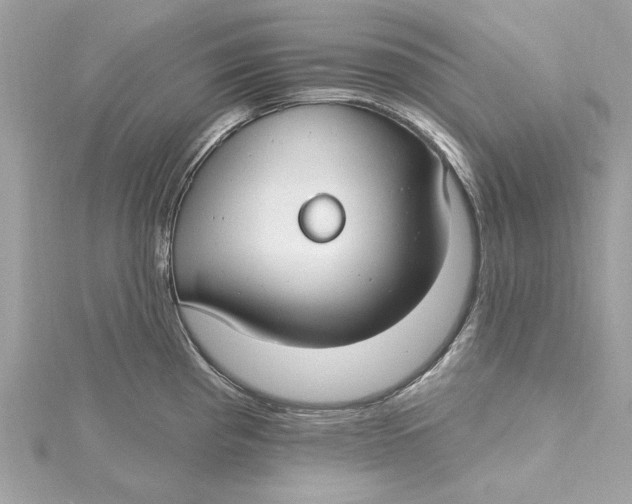 X0000115431193200911251219