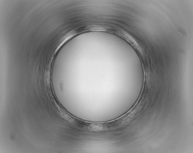 X0000115431194200911251219