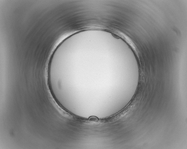 X0000115431195200911251219