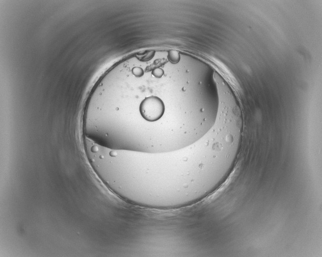 X0000115431196200911251219