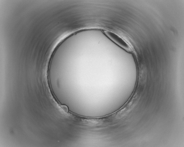 X0000115431197200911251219