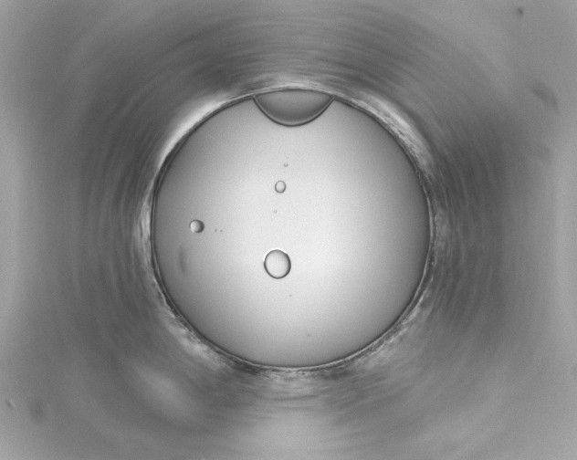 X0000115431198200911251219