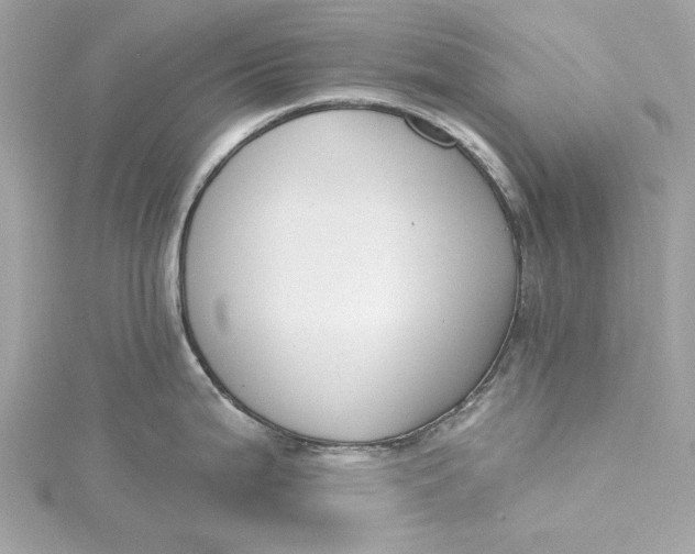 X0000115431199200911251219