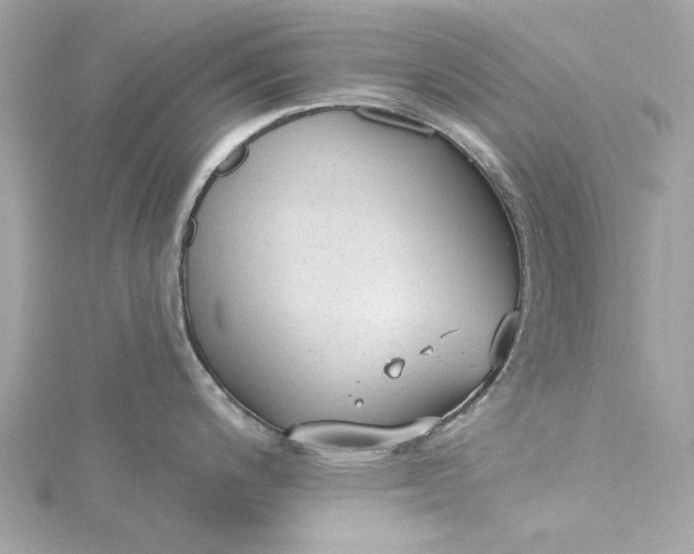 X0000115431200200911251219