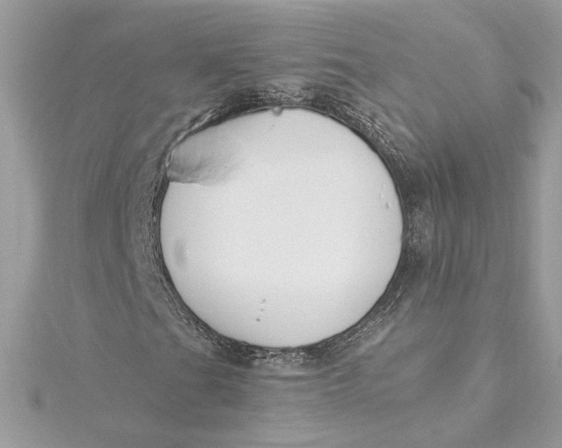 X0000115431201200911251218