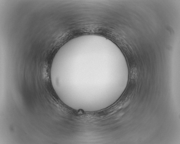 X0000115431202200911251218