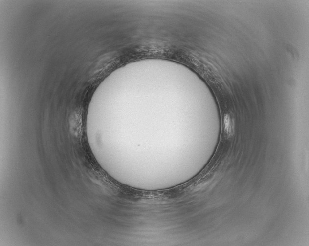 X0000115431203200911251218