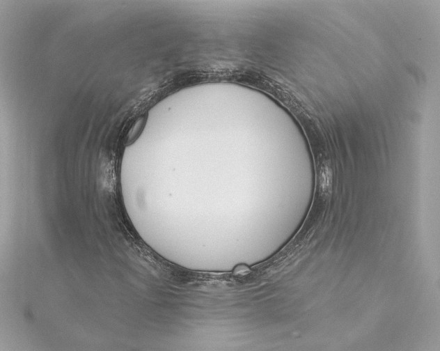 X0000115431204200911251218