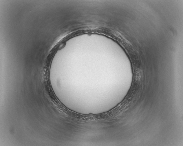 X0000115431208200911251218