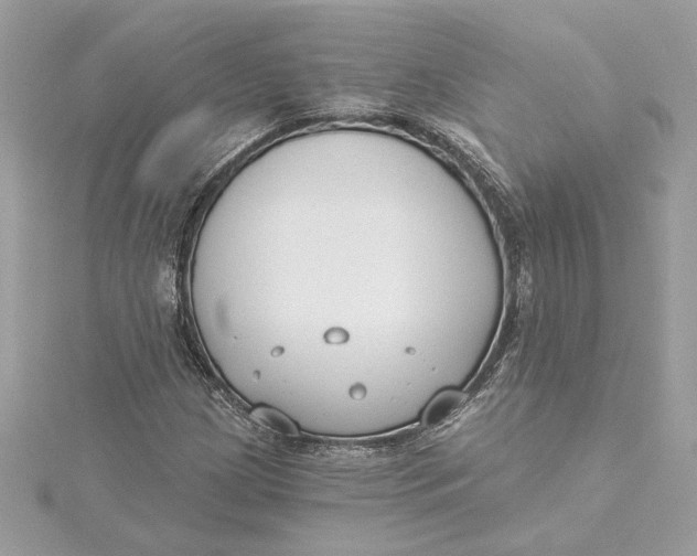 X0000115431209200911251218